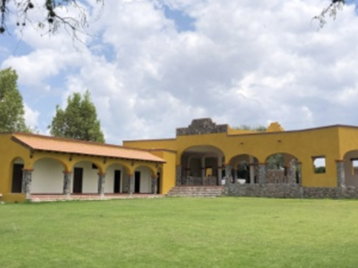 VIÑEDO SAN BERNARDINO