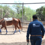 CABALGATA