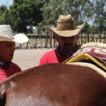 VAQUERO-POR-UN-DIA