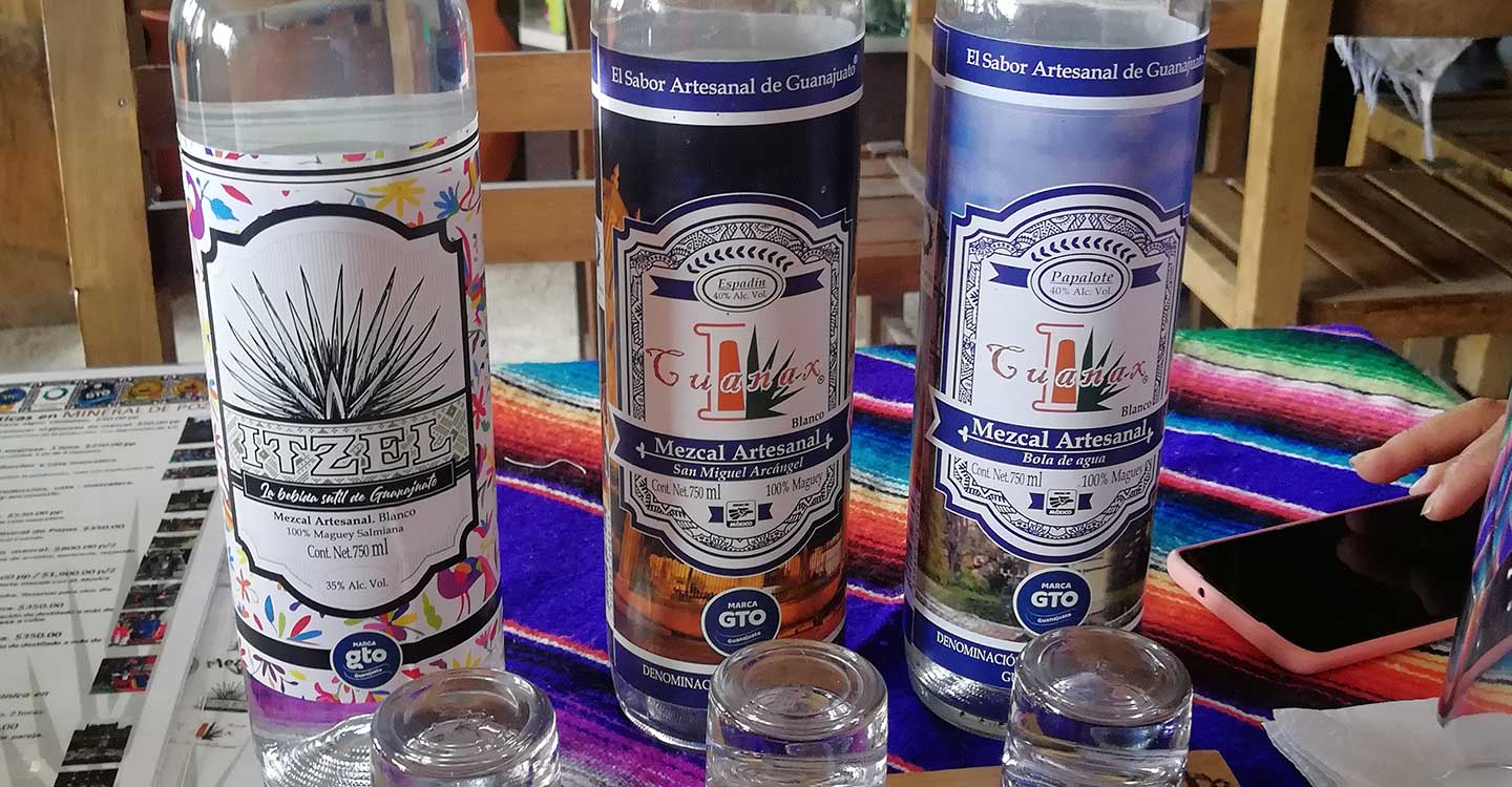 Mineral de Pozos - Mezcal Mineral Mágico