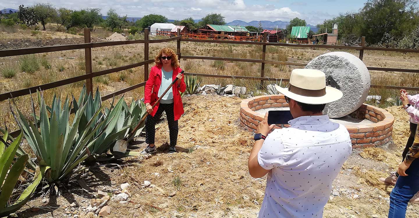 Mineral de Pozos - Mezcal Mineral Mágico