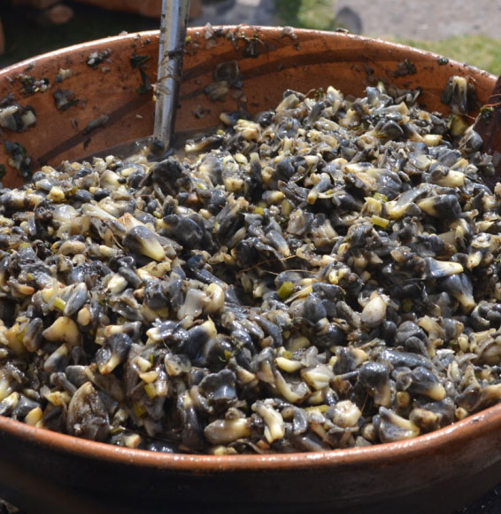 Flores de calabaza rellenas de huitlacoche - Recetas tradicionales de Guanajuato