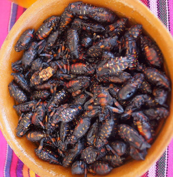 Mole de tantarria - Recetas tradicionales de Guanajuato
