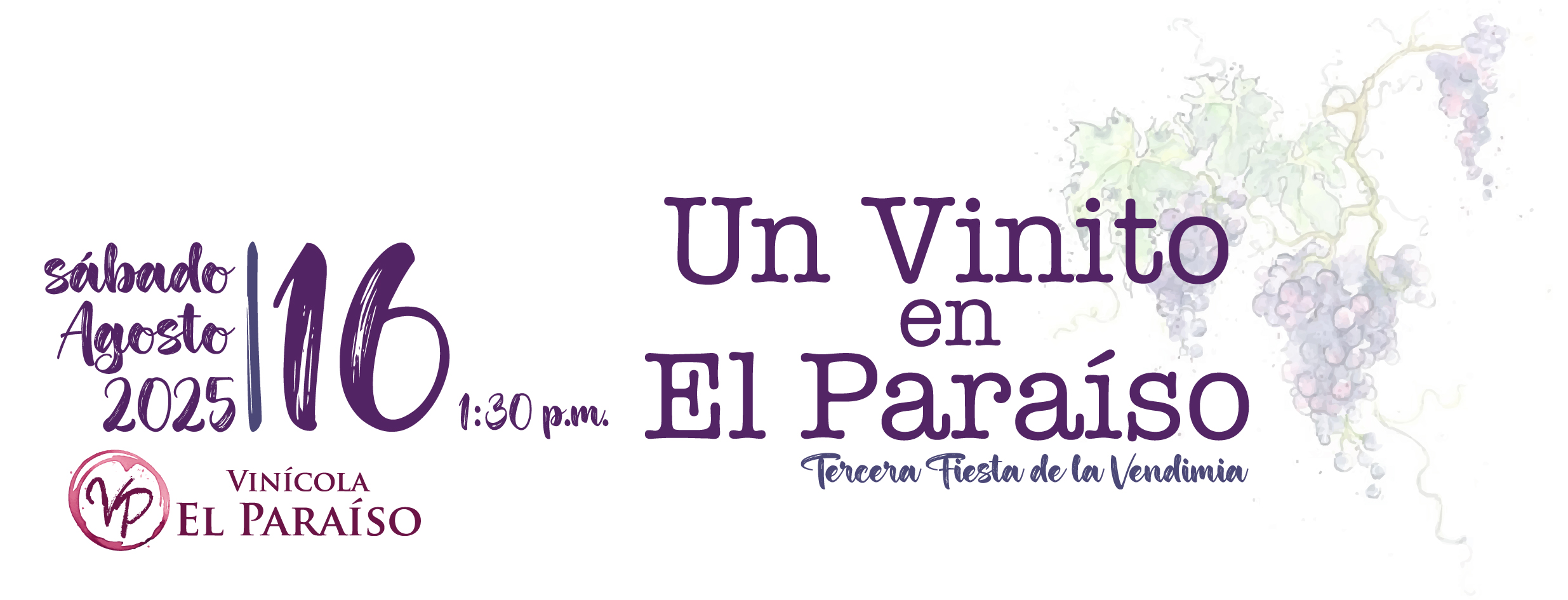 Vendimia Viñedo El Paraíso
