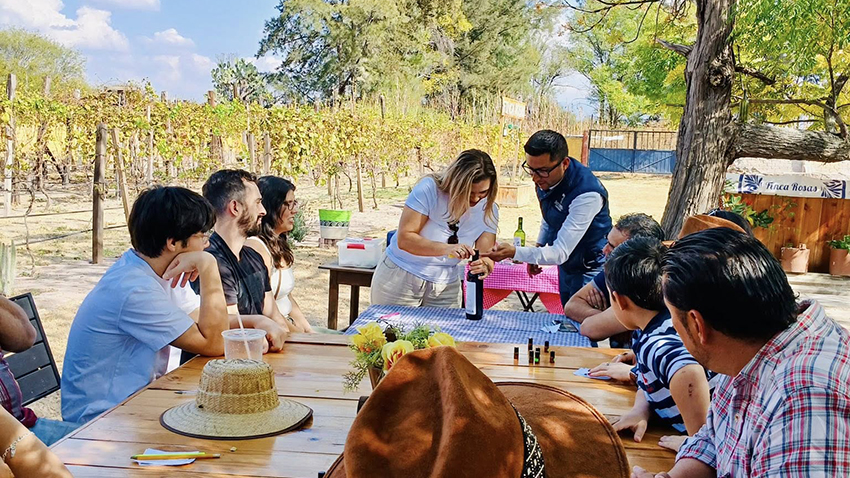 Recorrido de elaboración de vino