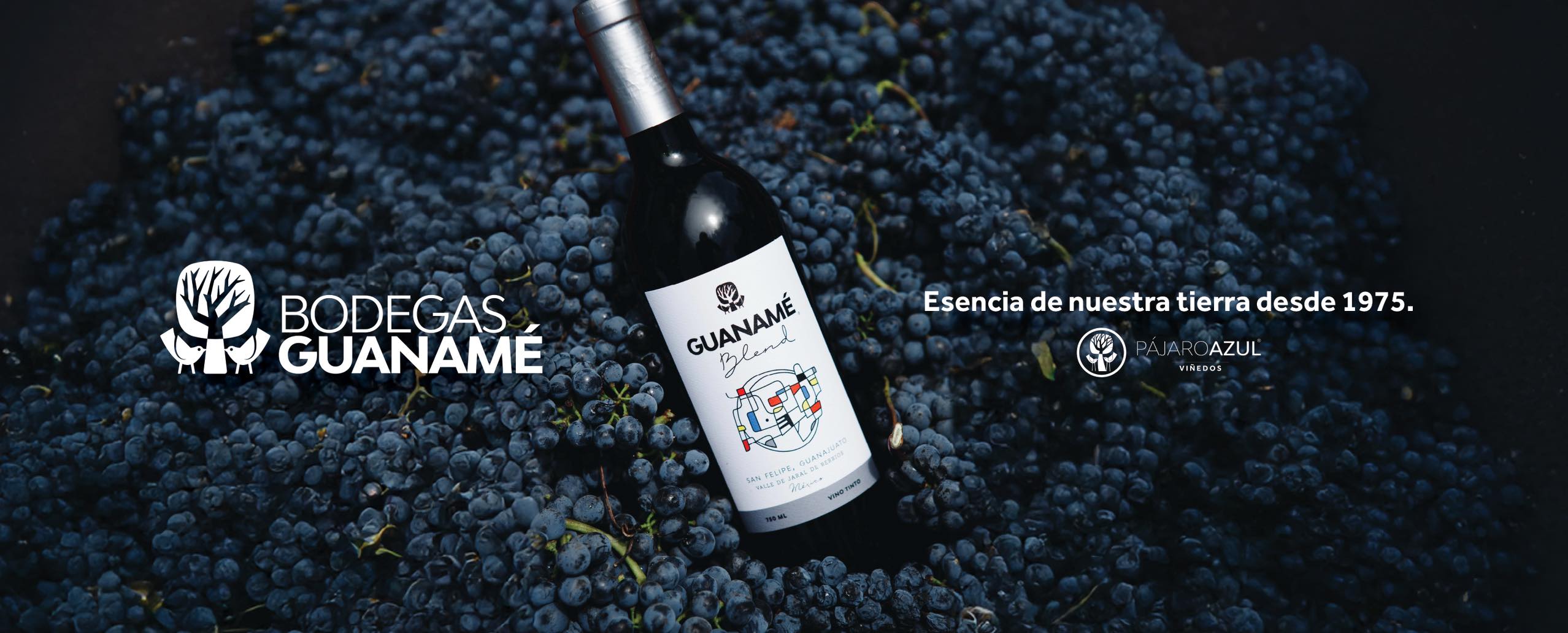 Bodegas Guanamé