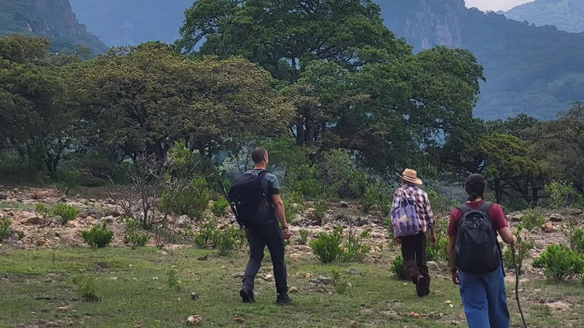 THE HIKING TOURS