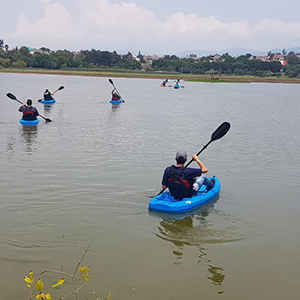 Renta de Kayaks