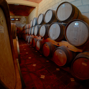 Viñedos en Dolores Hidalgo CIN