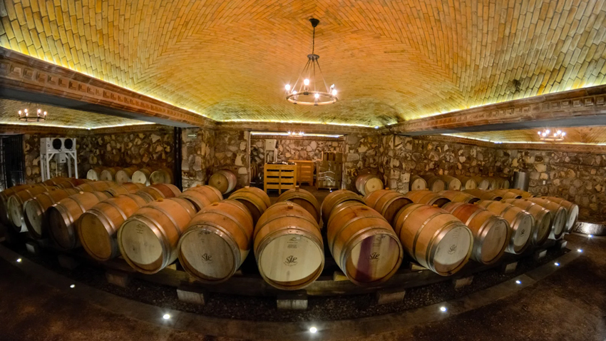 Viñedos en San Miguel de Allende