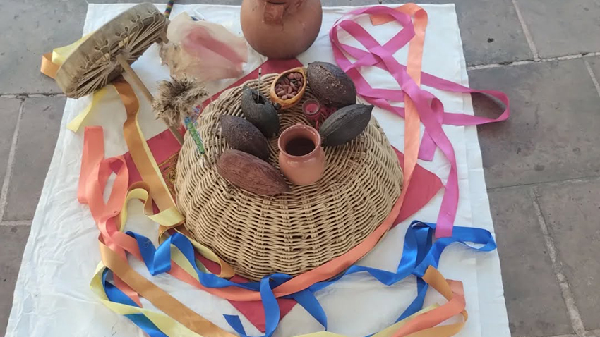 Taller de degustación de cacao