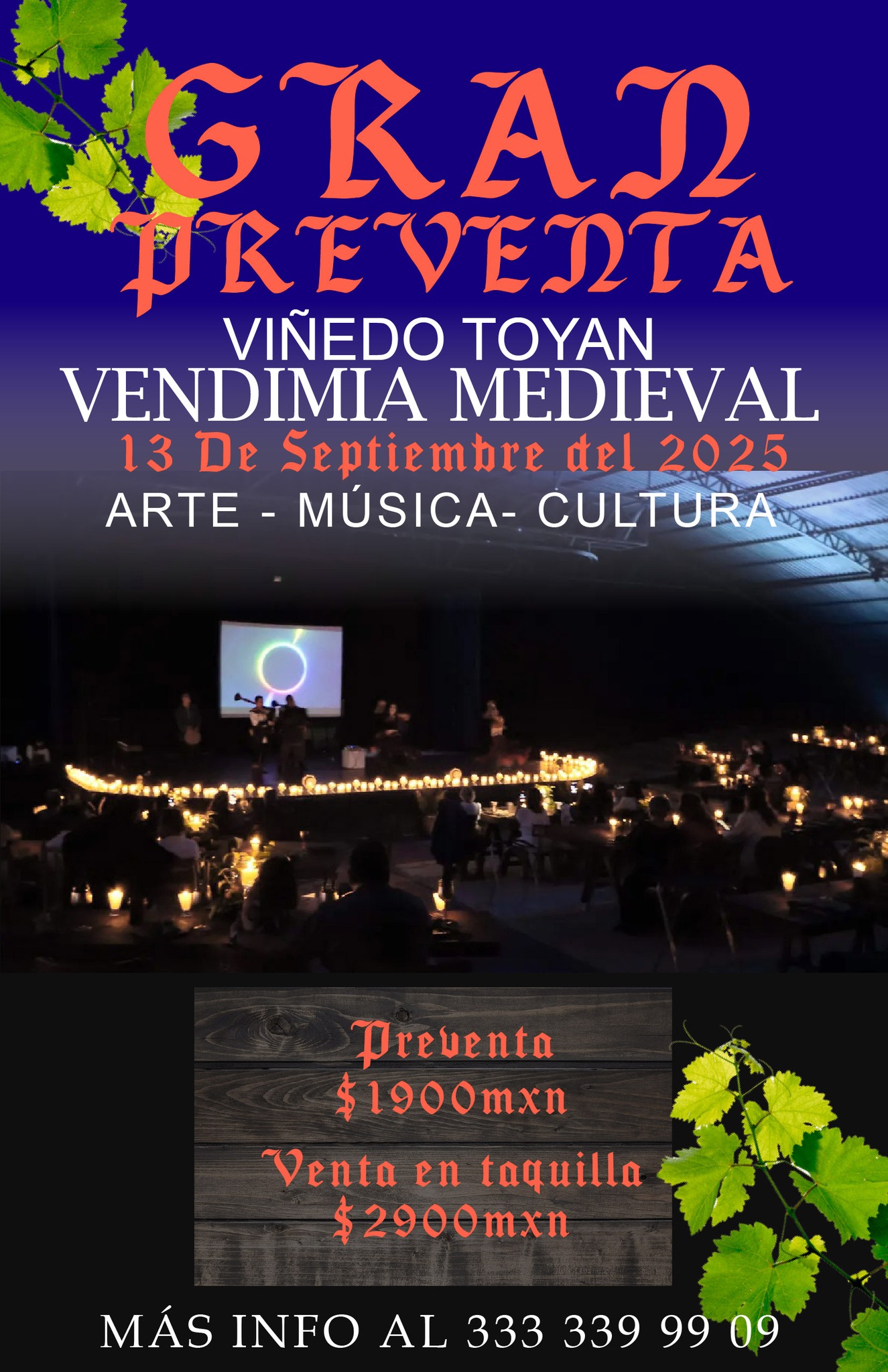 Vendimia Viñedo Toyan