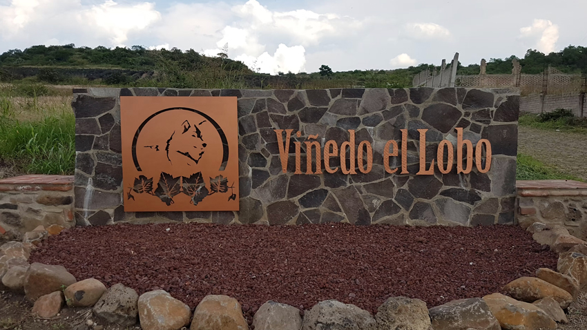 VIÑEDO EL LOBO