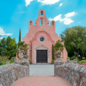 Viñedos en San Miguel de Allende