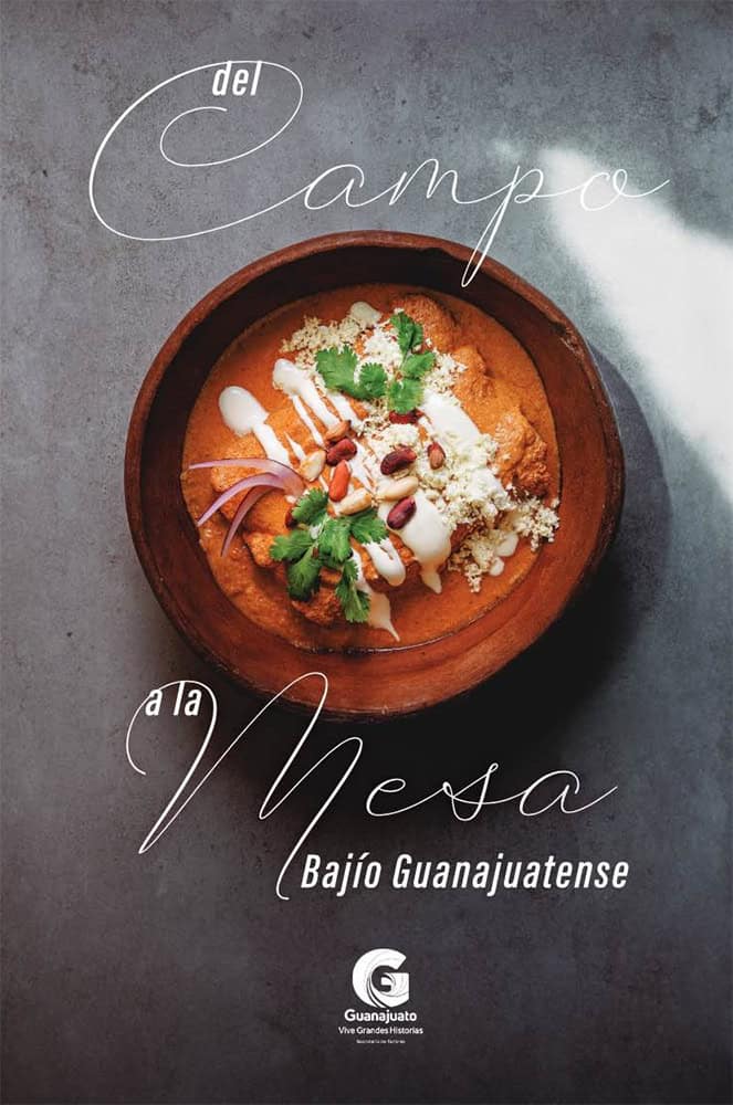 Delicious traditional Mexican food in the Bajio Guanajuato.