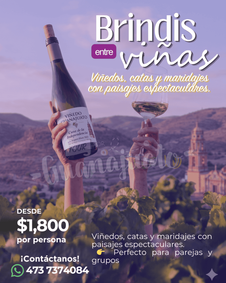 Vino de Guanajuato en Tour por Guanajuato, ideal para catas y maridajes con vistas espectaculares.