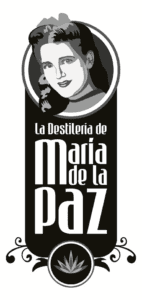 María de la Paz Distillery, famous in Guanajuato, offers artisanal beverages and tours in a historic setting.