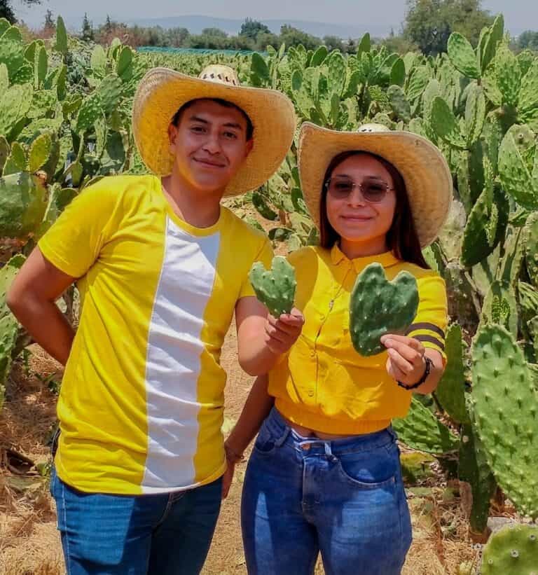 Turistas en un campo de cactus en Salamanca, Guanajuato, disfrutando del turismo agrícola.
