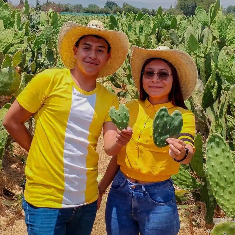 Turistas en un campo de cactus en Salamanca, Guanajuato, disfrutando del turismo agrícola.