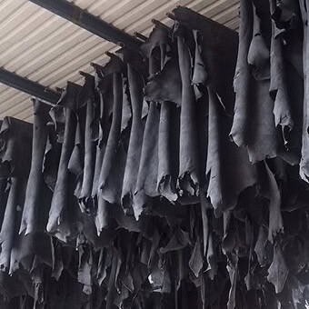 Pieles de vaca secándose en un secadero tradicional en Guanajuato.