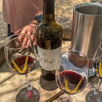 Vasos de vino tinto y botella en una degustación al aire libre en Guanajuato.