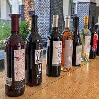 Variedad de vinos en una degustación en Guanajuato, México.