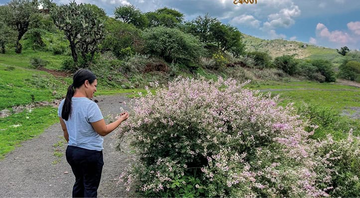 Mujer tomando fotos de un arbusto en un paisaje natural en Guanajuato.