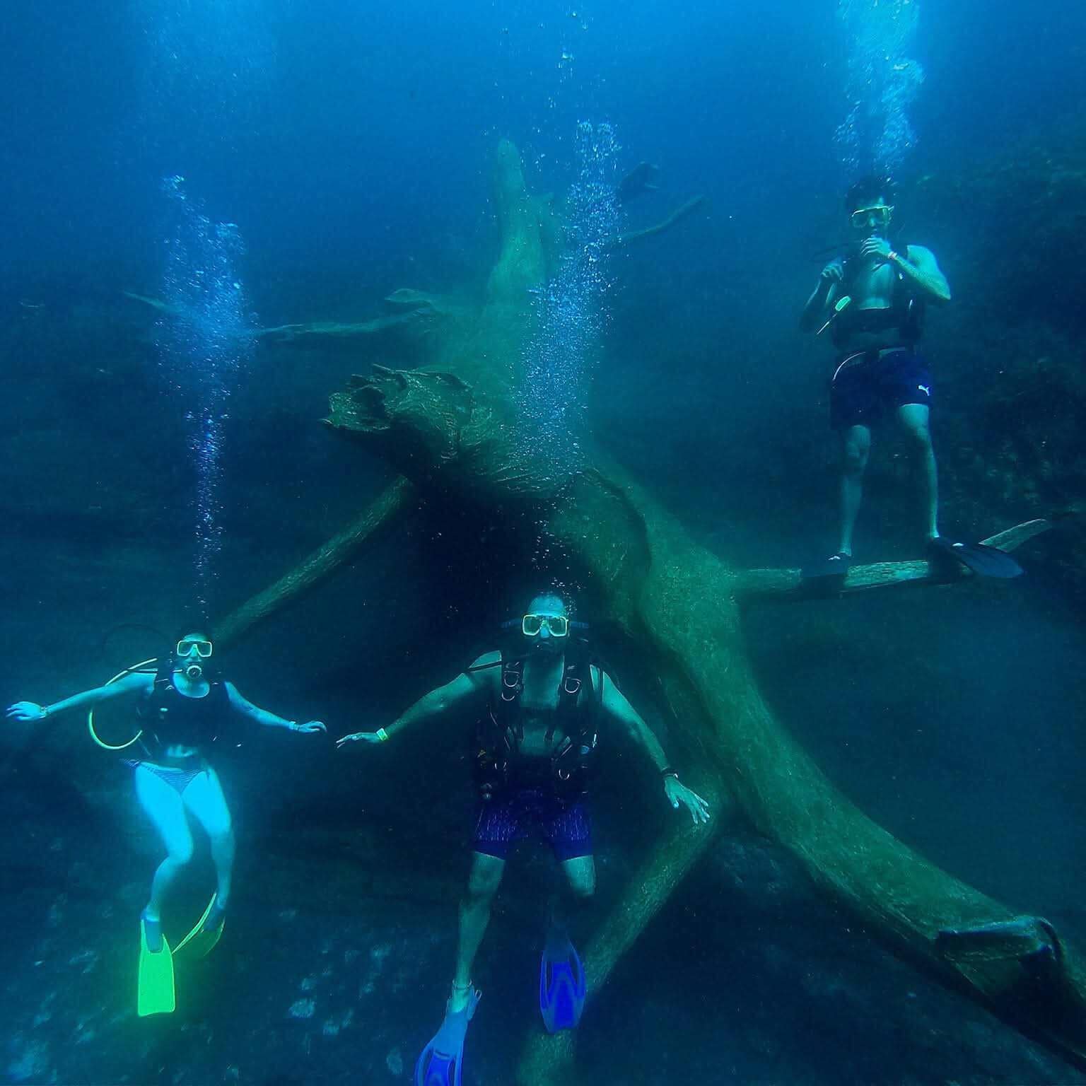 Cenote diving in Guanajuato, Mexico, with tourists exploring crystal-clear waters and natural formations.