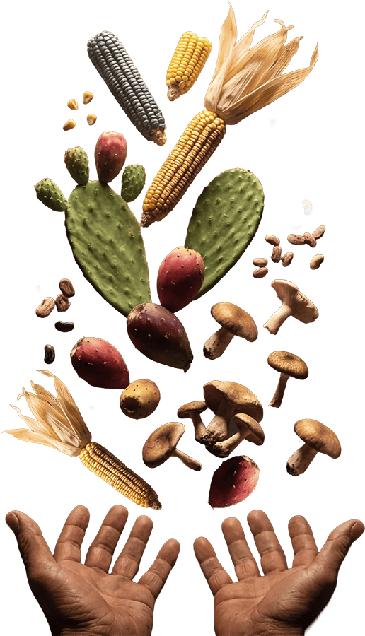 Ingredientes tradicionales de Guanajuato, como ma&iacute;z, nopales y hongos, en celebraci&oacute;n culinaria 2026.