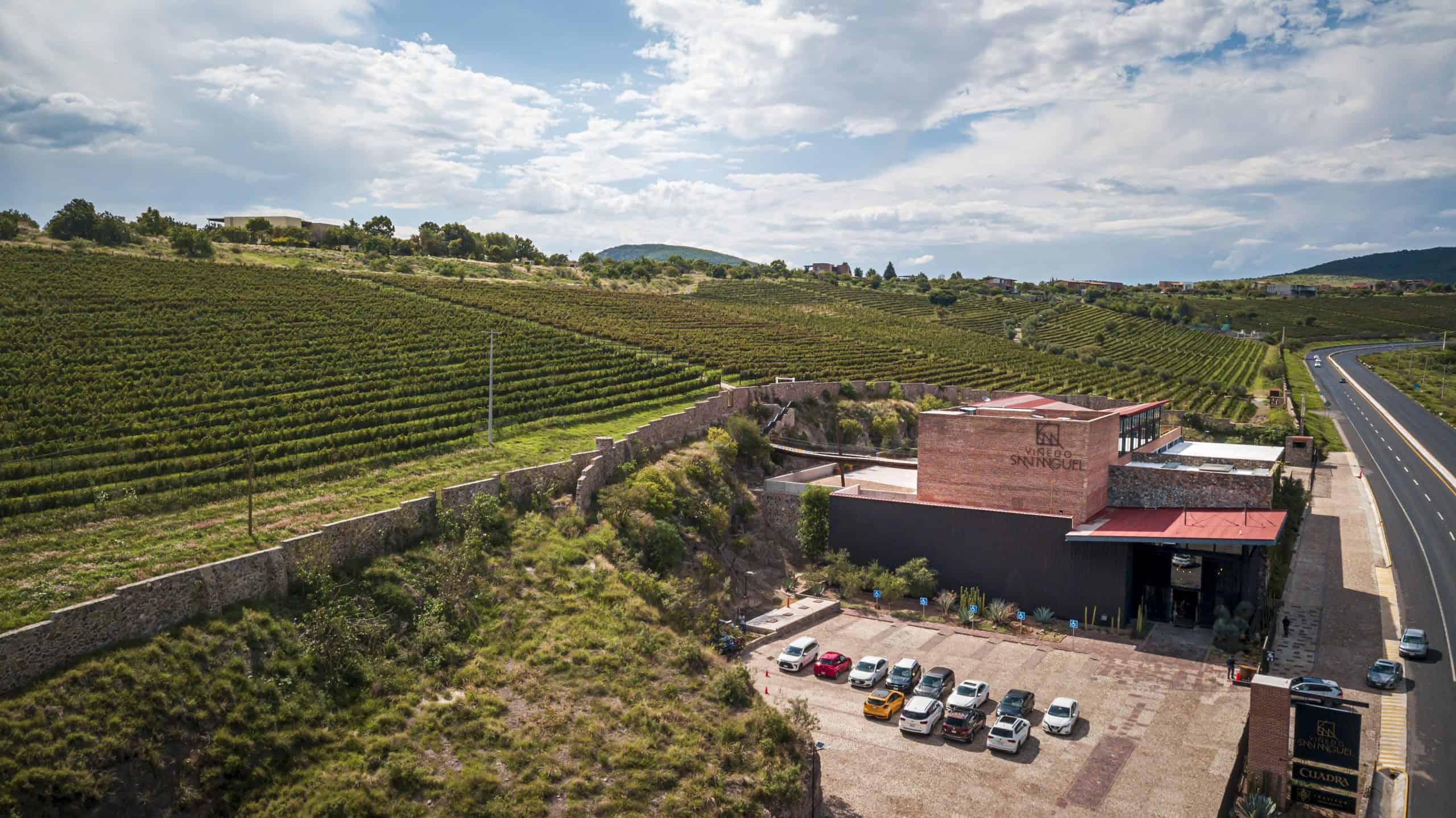 Vinedos y bodega en Guanajuato, destino turístico y enoturístico en México.