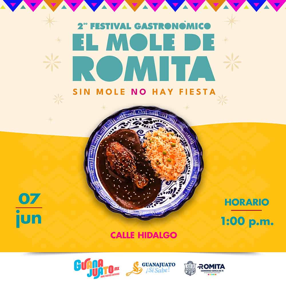 Plato de mole tradicional con arroz en plato decorativo azul y blanco en Guanajuato, M&eacute;xico.