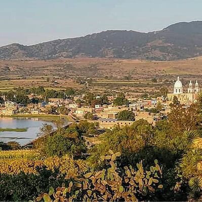 Paisaje de Guanajuato con montañas, lago y vegetación en primer plano.