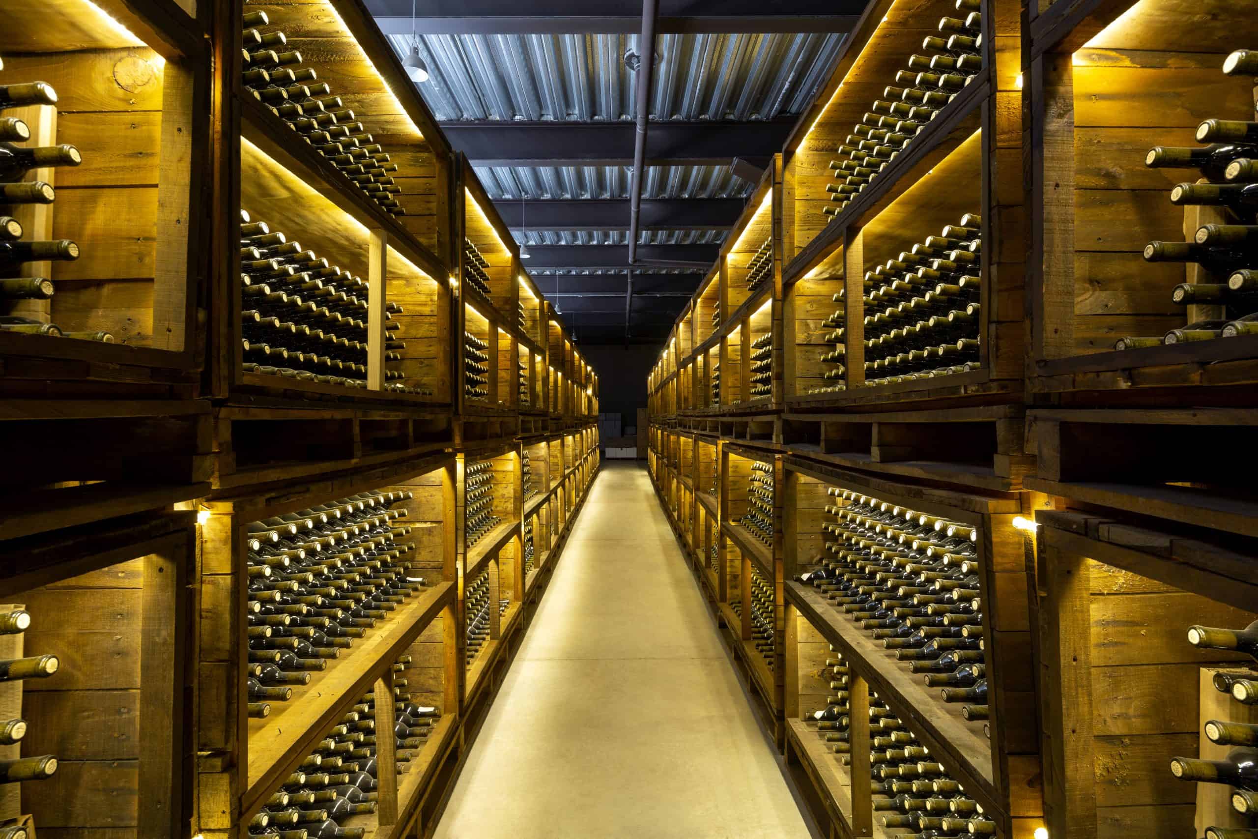 Vinos en bodega de Guanajuato, destino turístico y enoturismo en México.