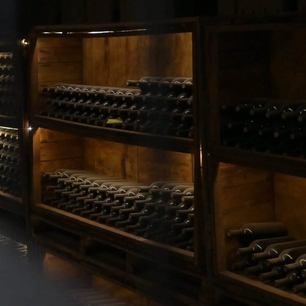 Vinos en bodega de Guanajuato, México, exhibidos en estanterías de madera para turismo enológico.