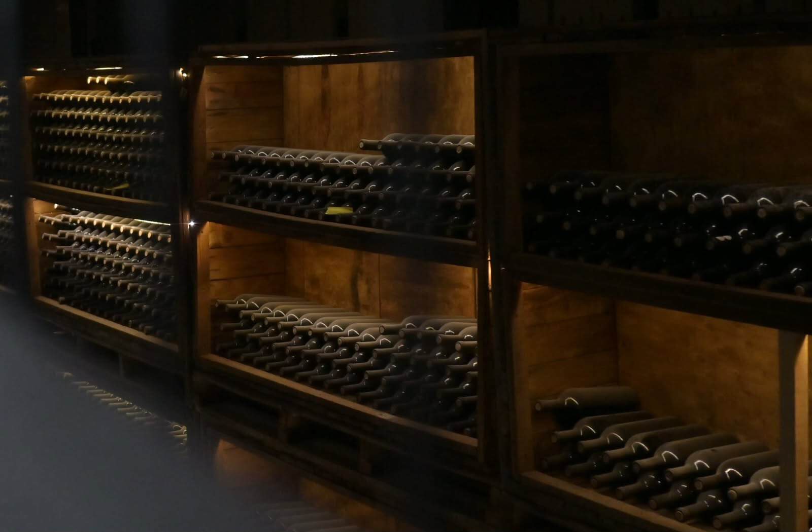 Vinos en bodega de Guanajuato, México, exhibidos en estanterías de madera para turismo enológico.