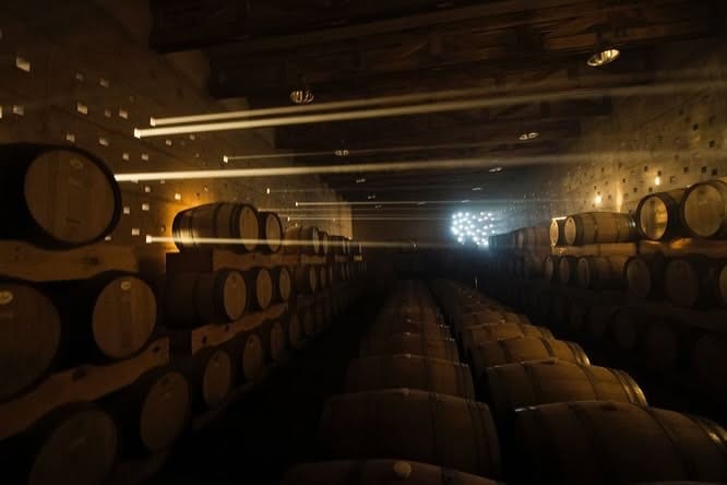 Wine cellar in Guanajuato with stacked barrels in a dark and cozy atmosphere.
