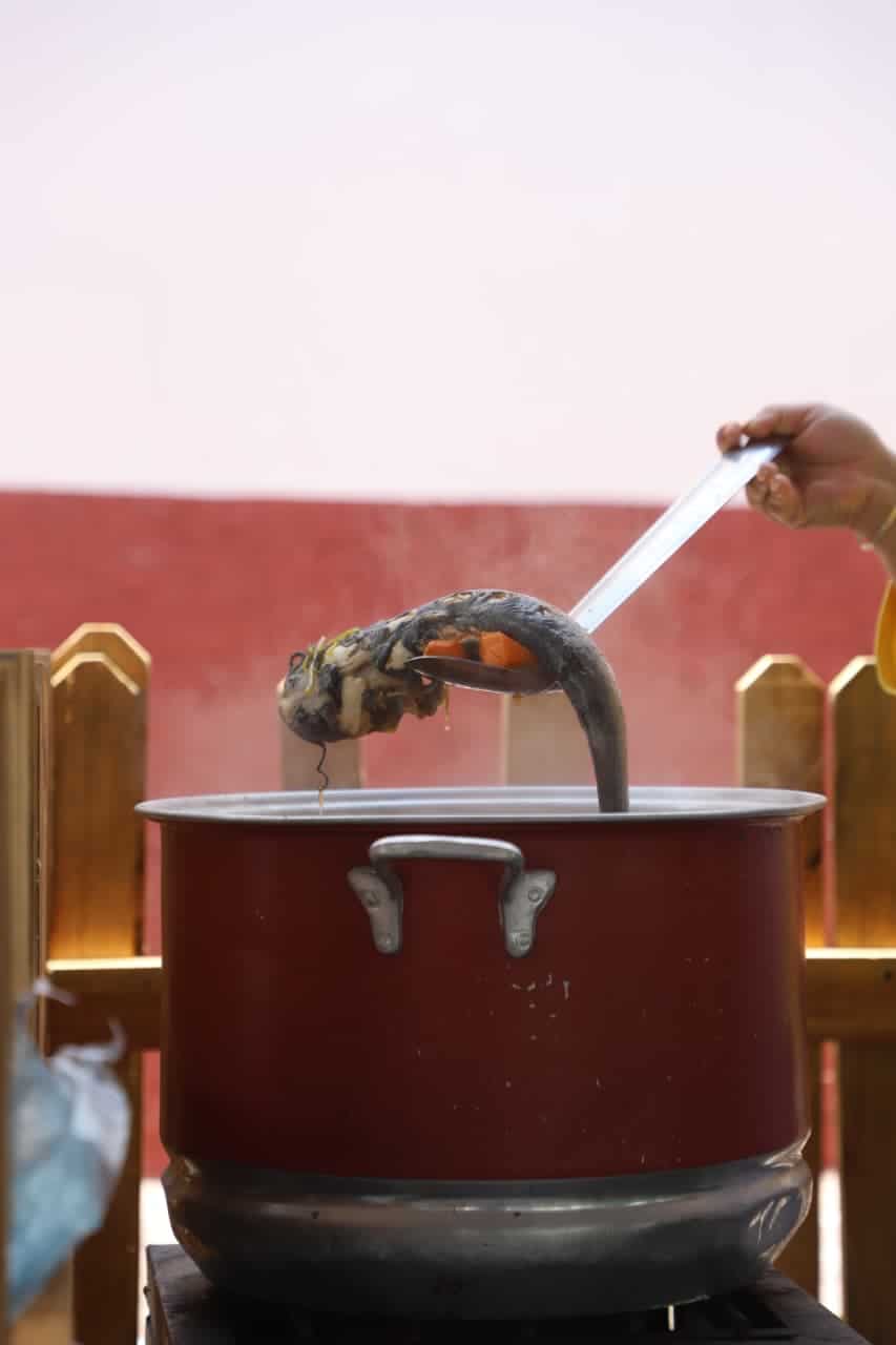 Gato en olla grande en una cocina tradicional mexicana.