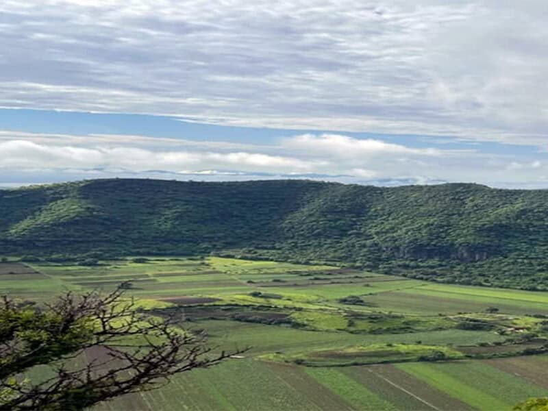 Vista panorámica de campos y colinas verdes en Guanajuato, México.