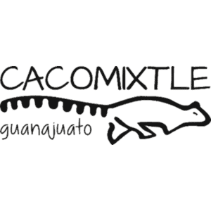 Logotipo de Cacomixtle en Guanajuato para turismo y naturaleza.