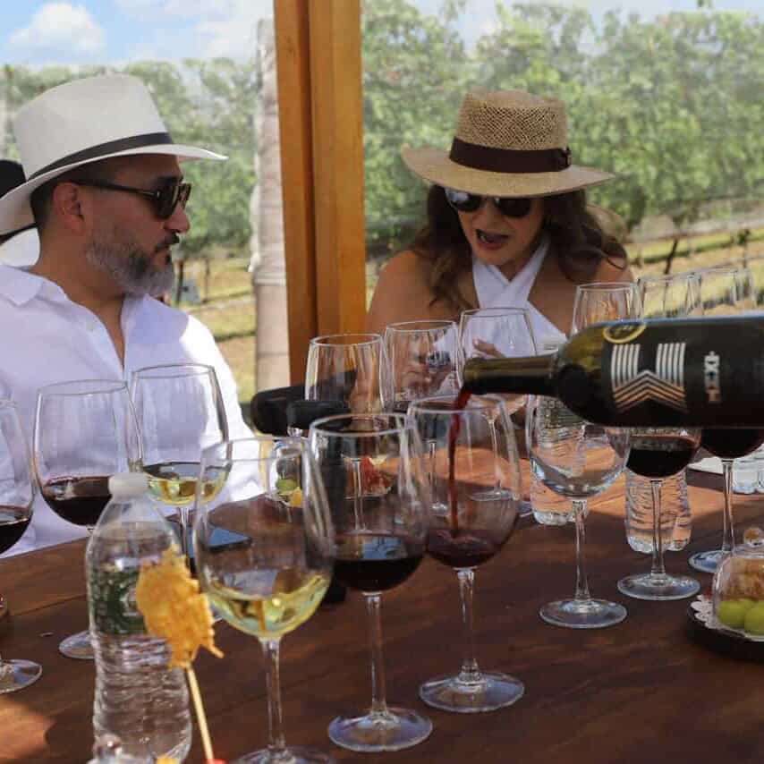 Degustación de vinos en un viñedo de Guanajuato con turistas disfrutando.