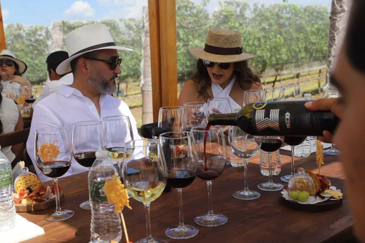 Degustación de vinos en un viñedo de Guanajuato con turistas disfrutando.