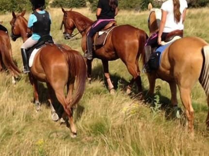 Helmeted riders on a horseback ride through the grasslands of Guanajuato.
