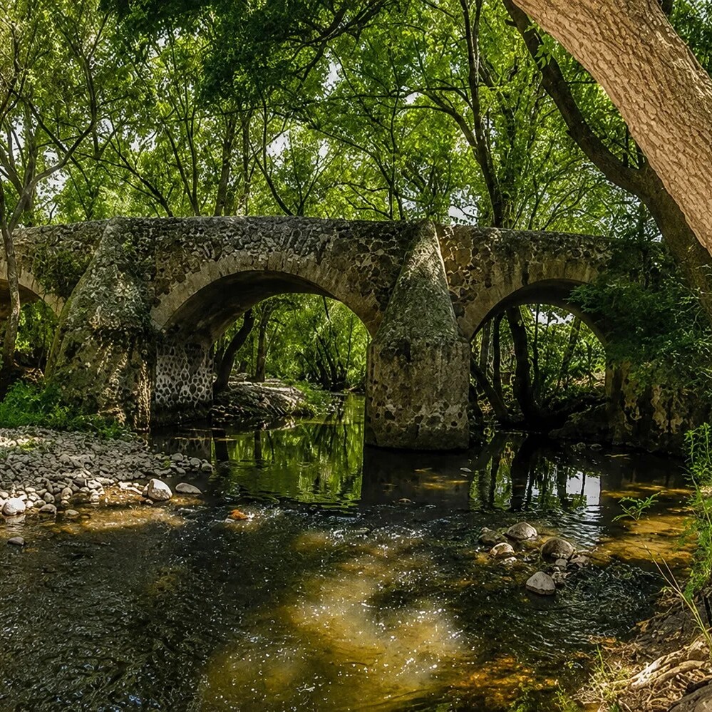 Puente de piedra sobre un río rodeado de árboles.