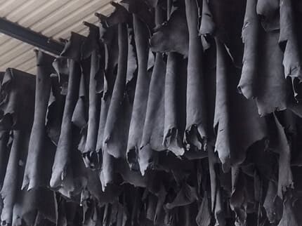 Black tanned hides hung to dry in a tannery in León, Guanajuato.
