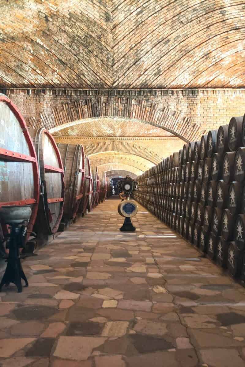 Cava con barricas de tequila bajo bóvedas de ladrillo en la Hacienda Corralejo, Pénjamo, Guanajuato.