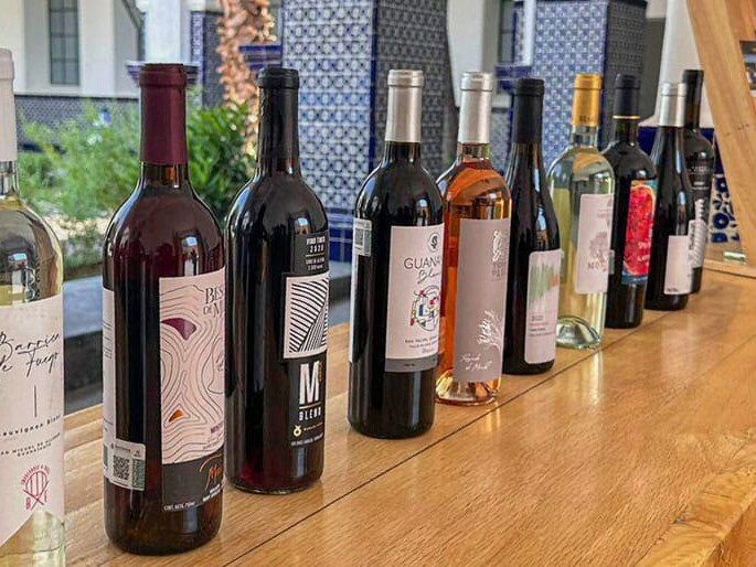 Guanajuato wine bottles on display on a wooden bar.