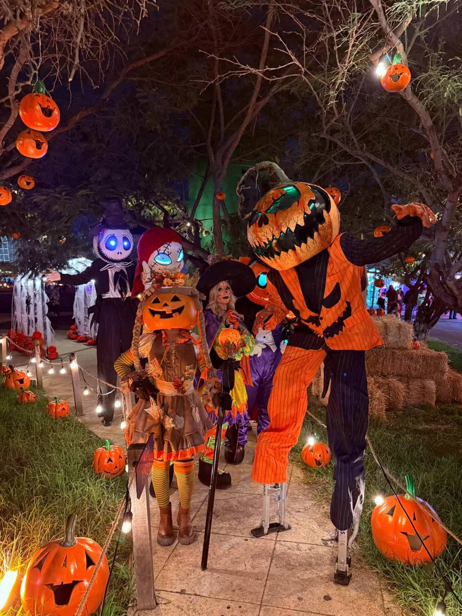 Personajes disfrazados de calabaza y catrina en celebración de Día de Muertos en Guanajuato.
