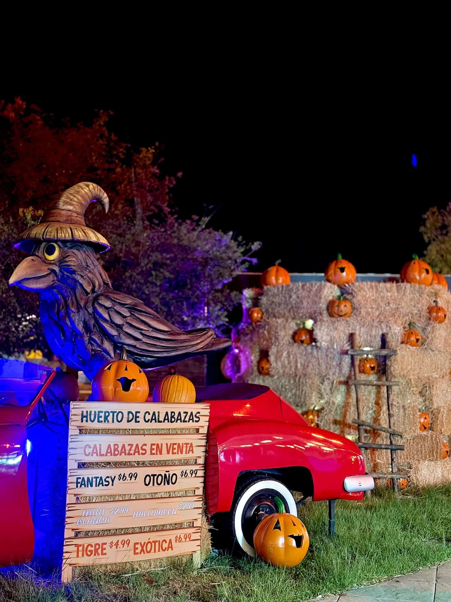 Decoración de Día de Muertos con calabazas, calabazas en venta y figura de búho en Guanajuato.