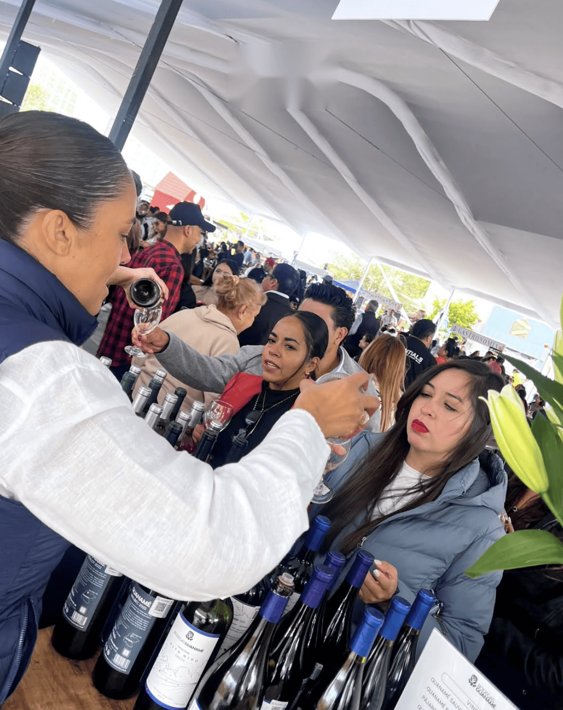 Personas disfrutando de la vendimia en Guanajuato con vino y ambiente festivo.