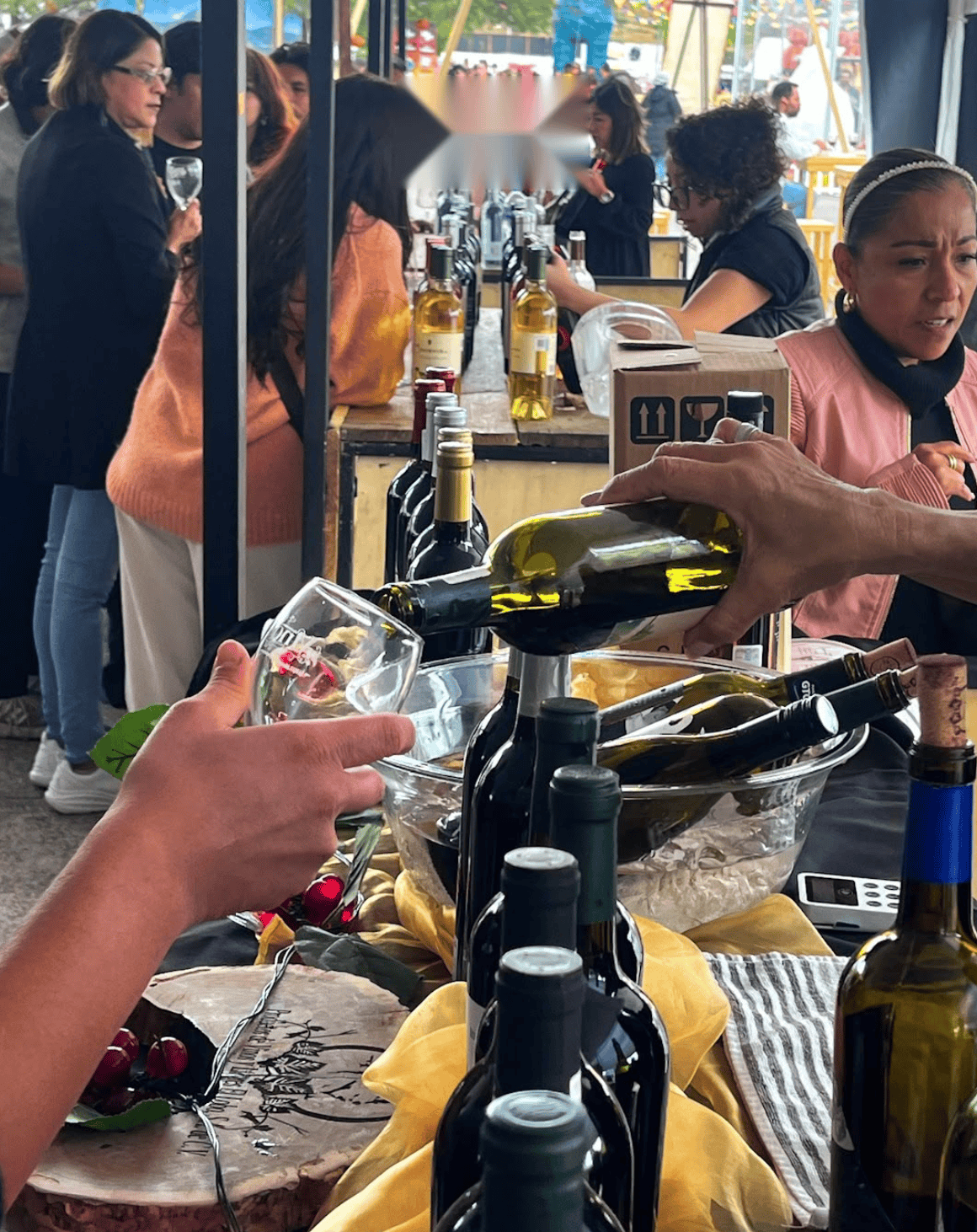 Degustación de vinos en las Fiestas de Vendimia Guanajuato 2026.
